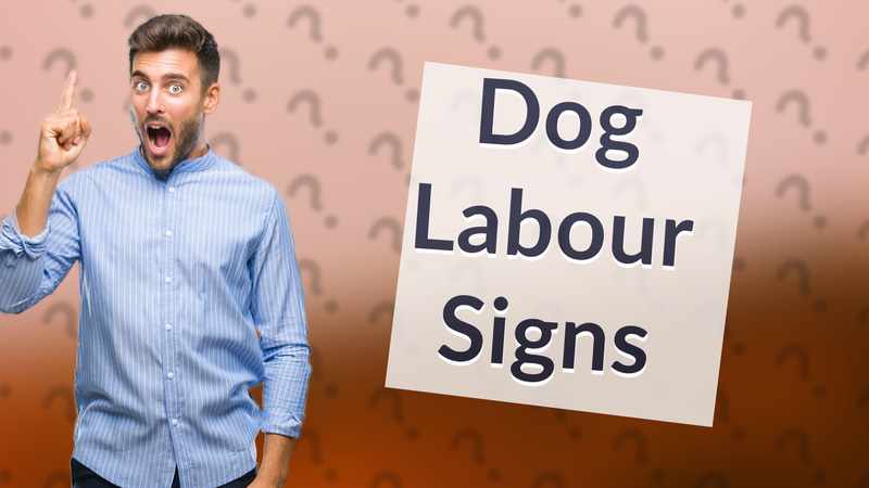 Dog Labour Signs