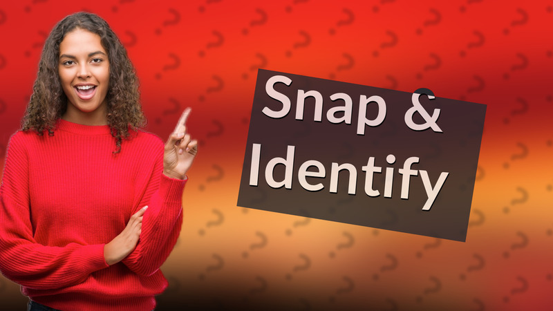 Snap & Identify