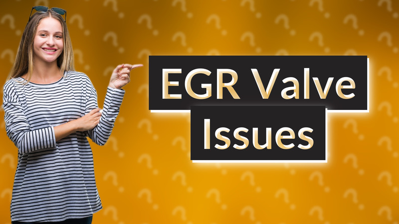 EGR Valve Issues