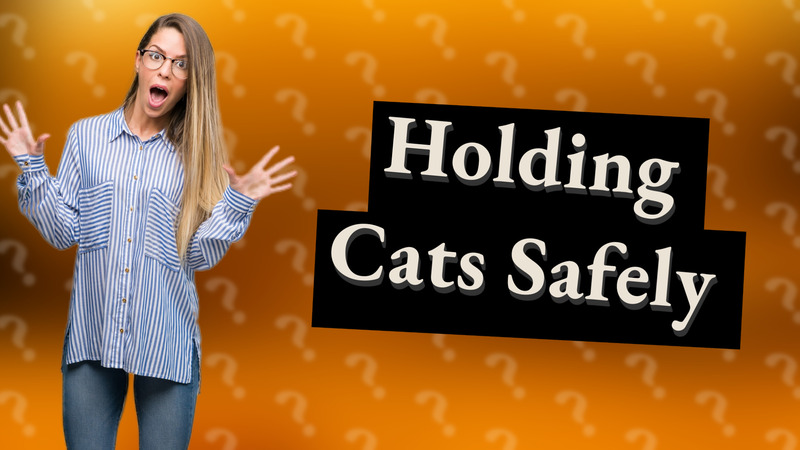 Holding Cats Safely