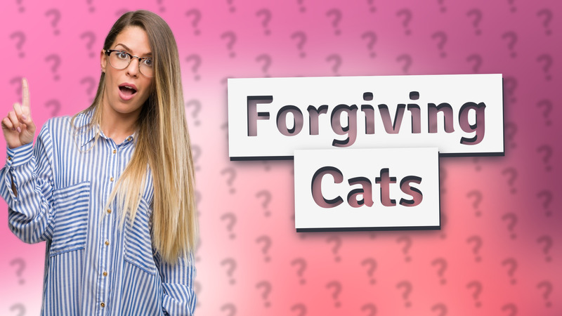Forgiving Cats