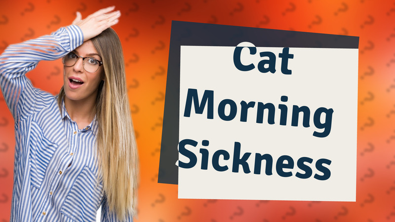 Cat Morning Sickness