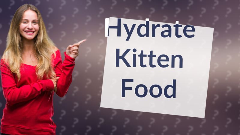 Hydrate Kitten Food