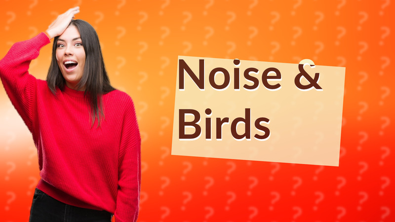 Noise & Birds