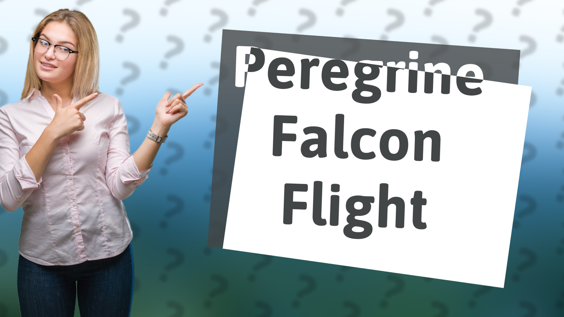 Peregrine Falcon Flight