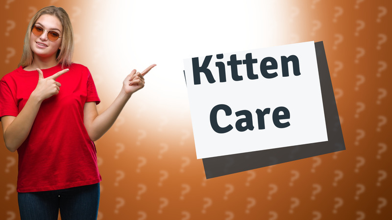 Kitten Care
