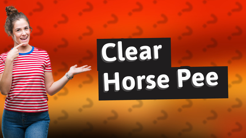Clear Horse Pee
