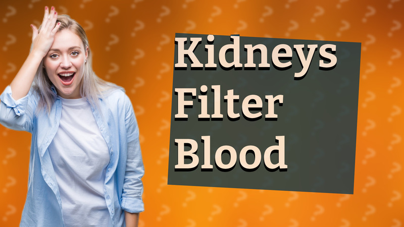 Kidneys Filter Blood