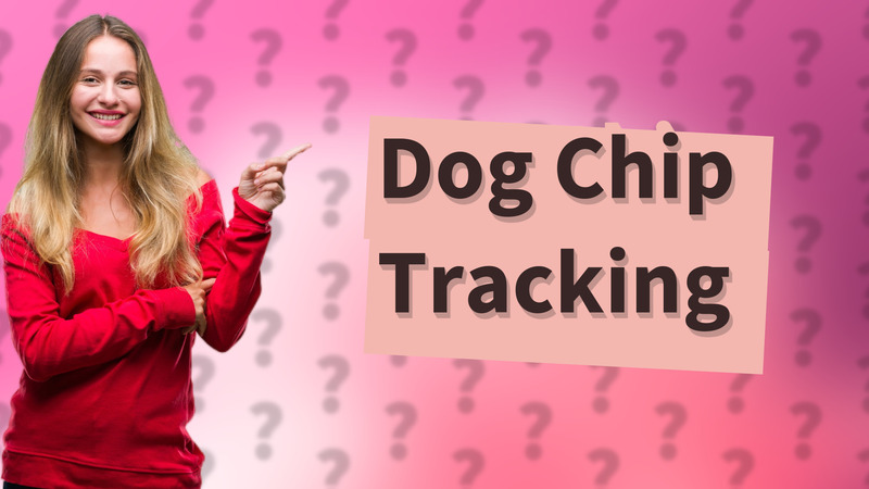 Dog Chip Tracking