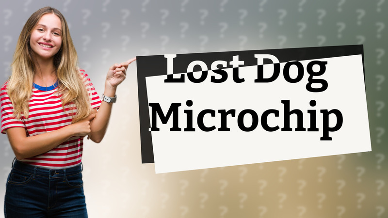 Lost Dog Microchip
