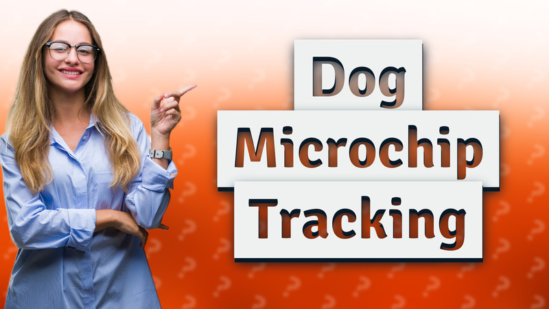 Dog Microchip Tracking