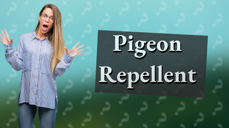 Pigeon Repellent