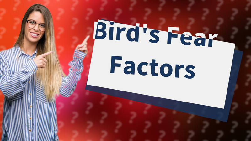 Bird's Fear Factors
