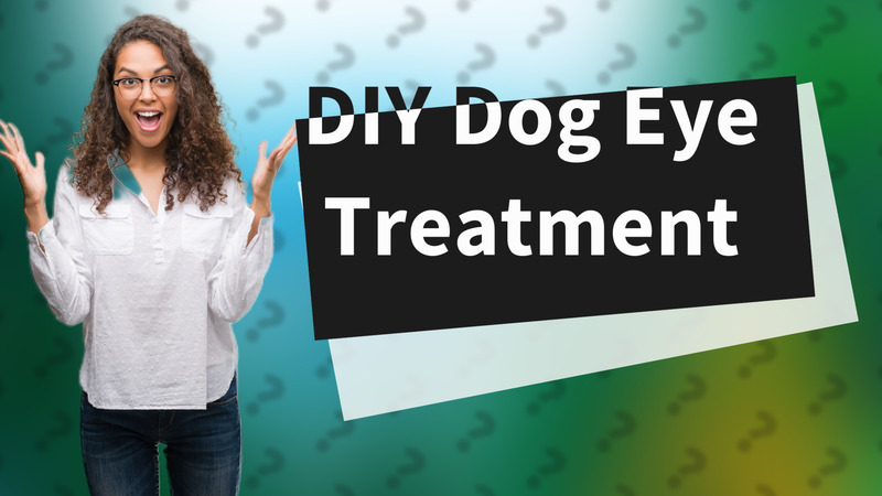 DIY Dog Eye Treatment