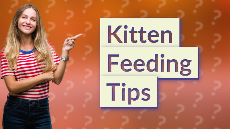 Kitten Feeding Tips