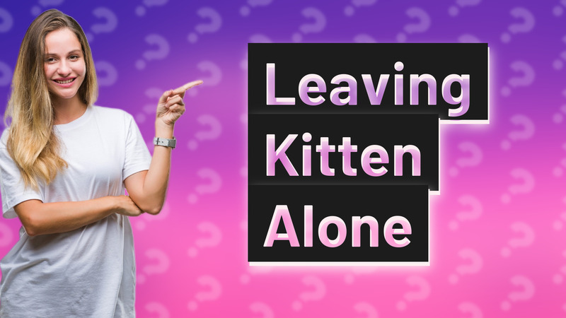 Leaving Kitten Alone