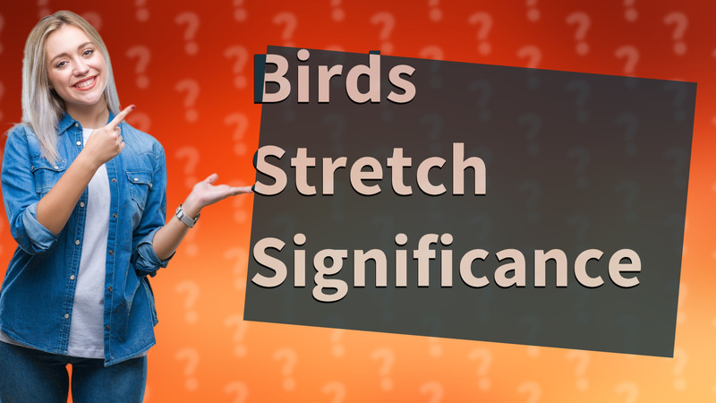 Birds Stretch Significance