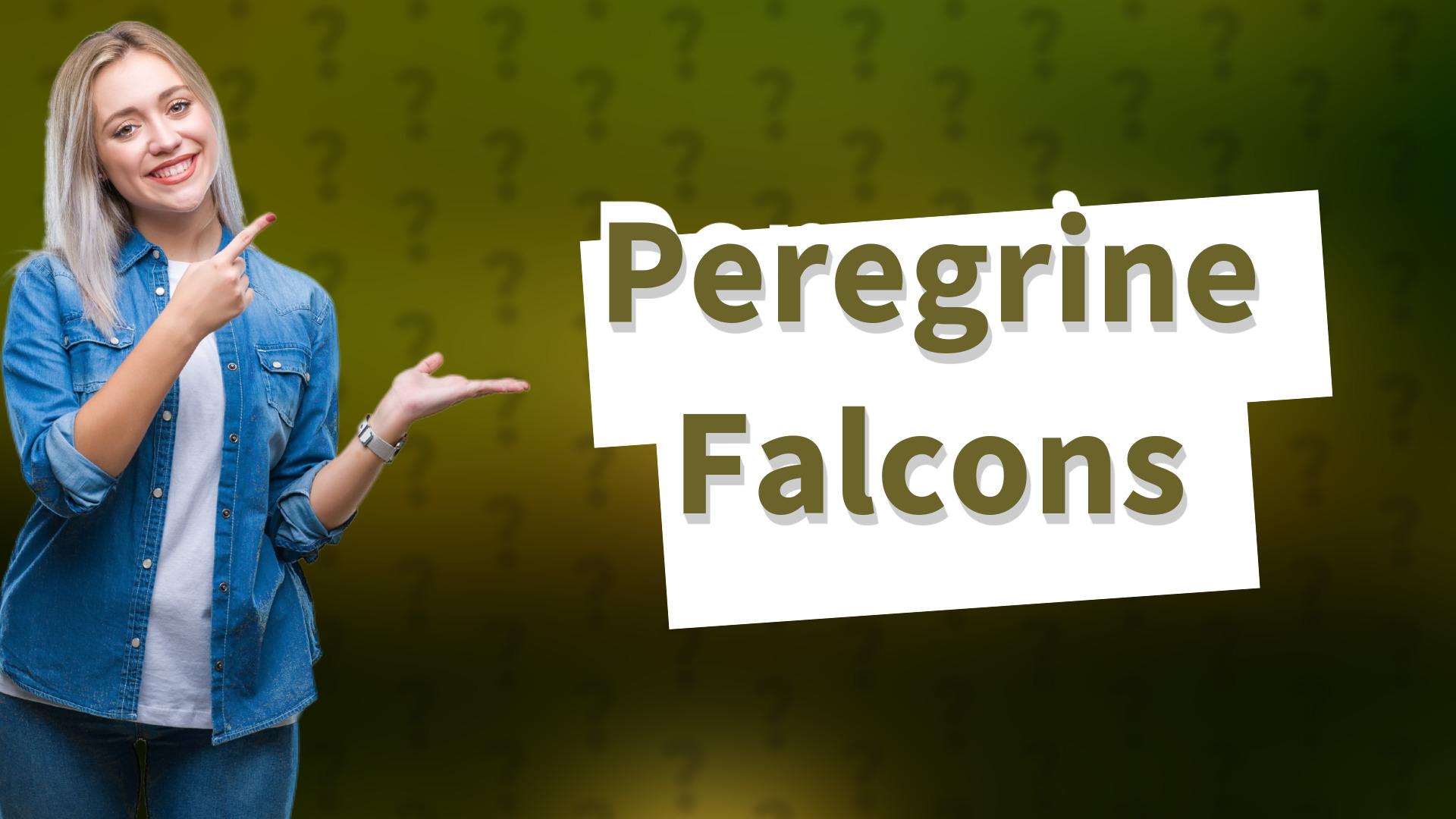 Peregrine Falcons
