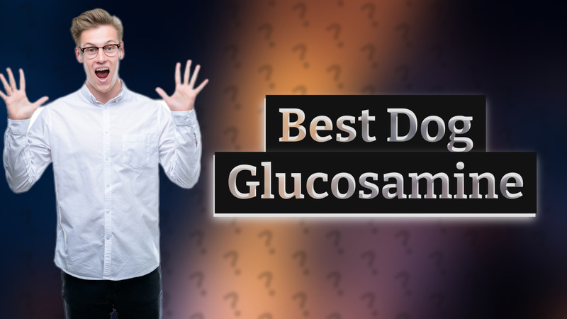 Best Dog Glucosamine