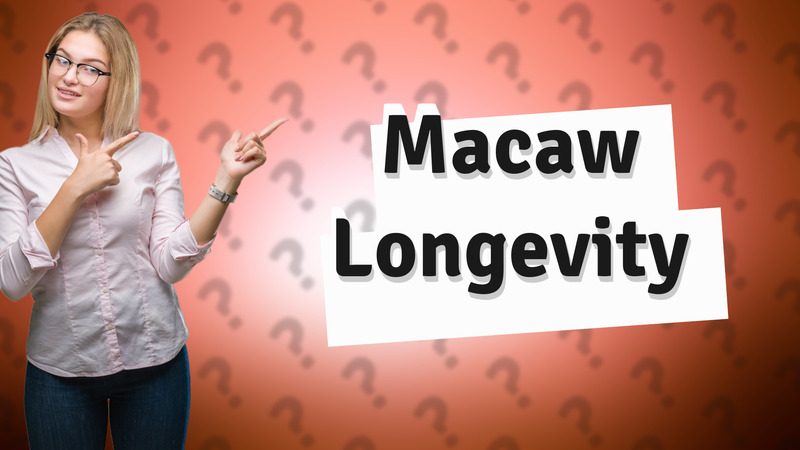 Macaw Longevity