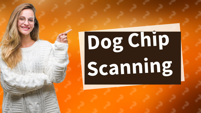 Dog Chip Scanning
