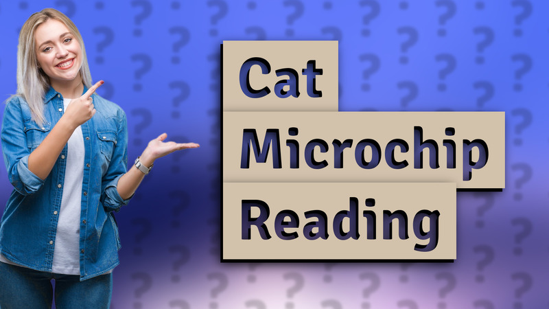Cat Microchip Reading