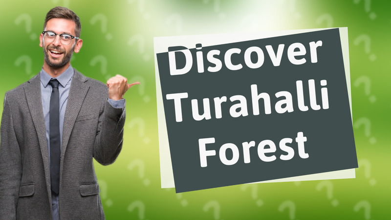 Discover Turahalli Forest
