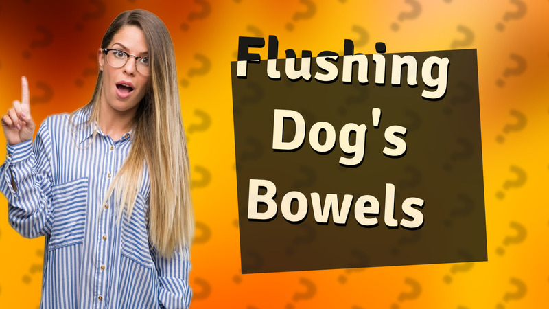 Flushing Dog's Bowels
