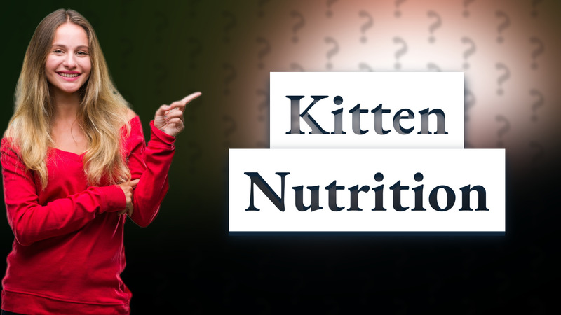 Kitten Nutrition