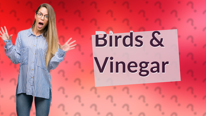Birds & Vinegar