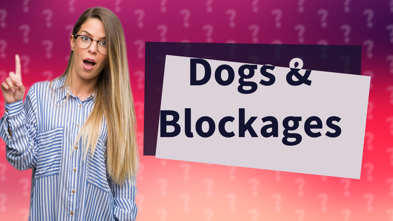Dogs & Blockages