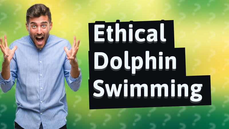Ethical Dolphin Swimming