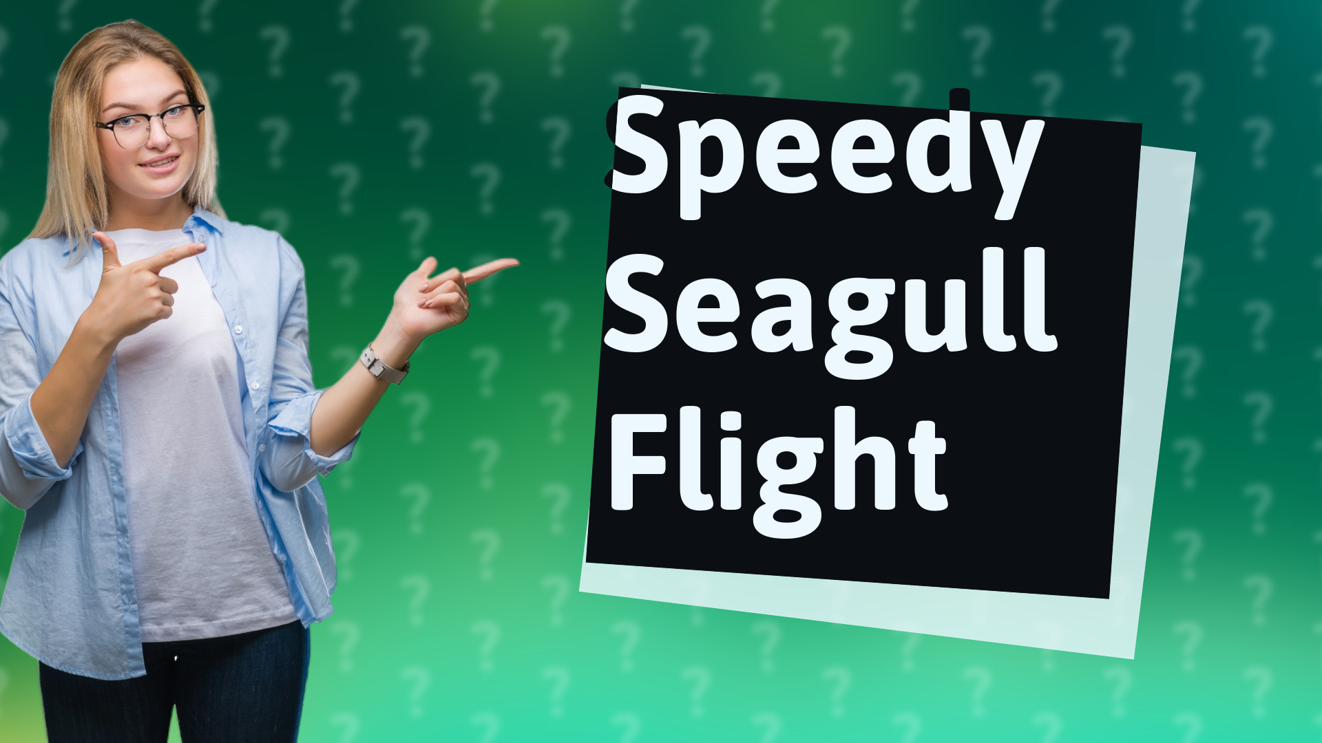 Speedy Seagull Flight