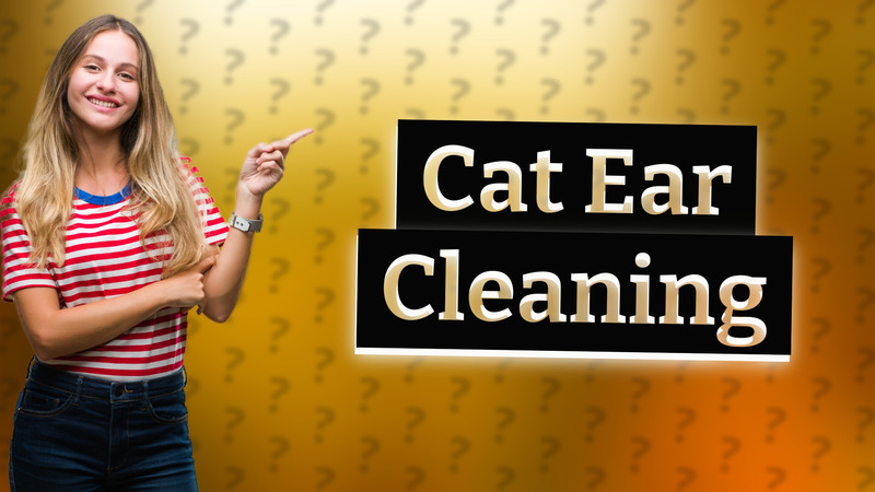 Cat Ear Cleaning