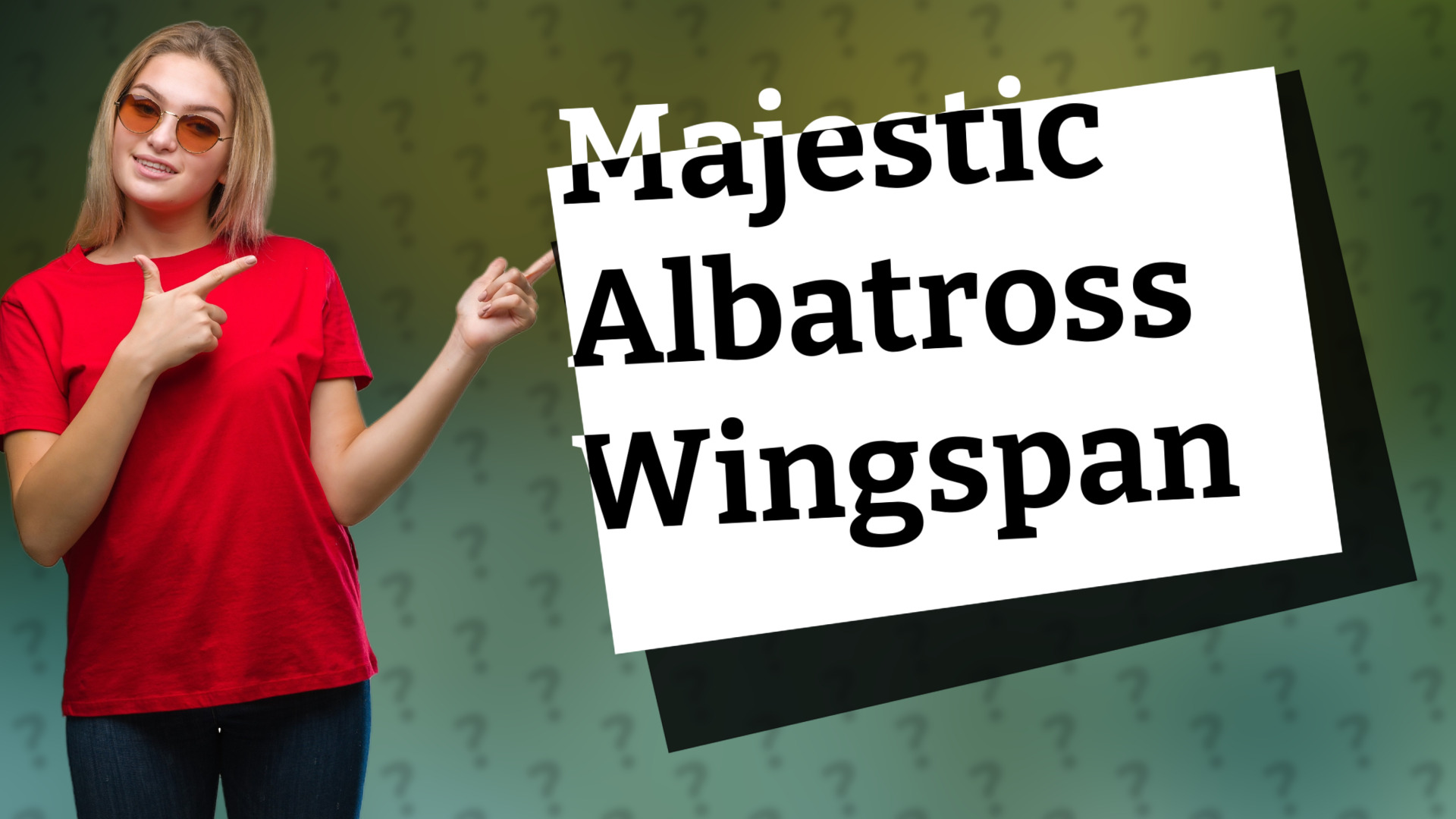 Majestic Albatross Wingspan