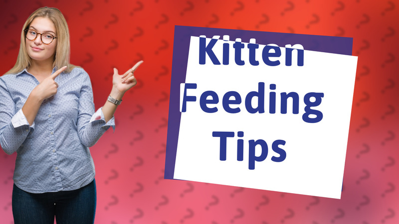 Kitten Feeding Tips