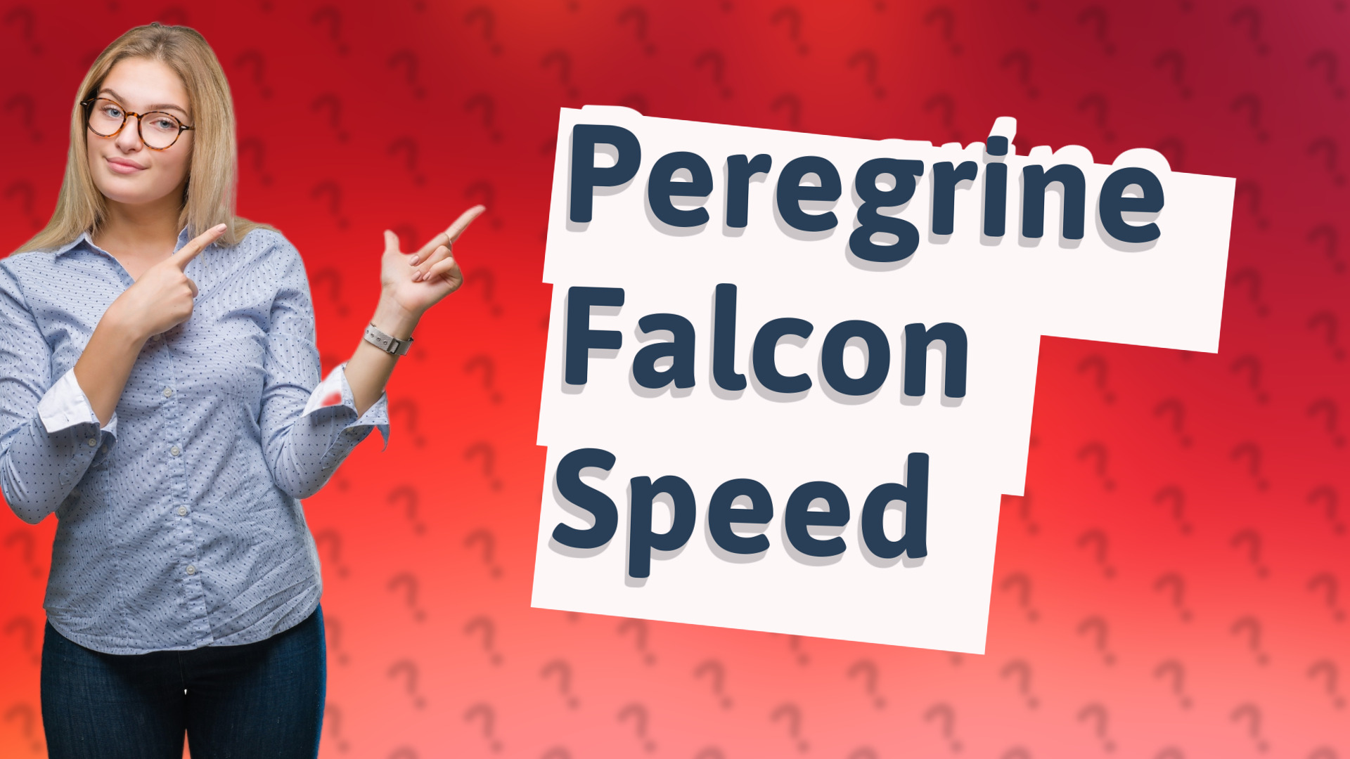 Peregrine Falcon Speed