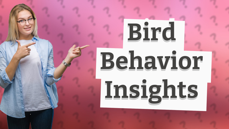 Bird Behavior Insights
