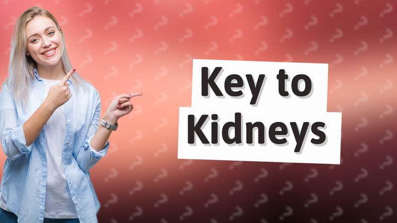 Key to Kidneys