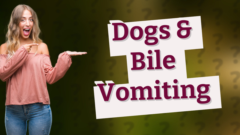 Dogs & Bile Vomiting