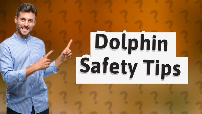 Dolphin Safety Tips
