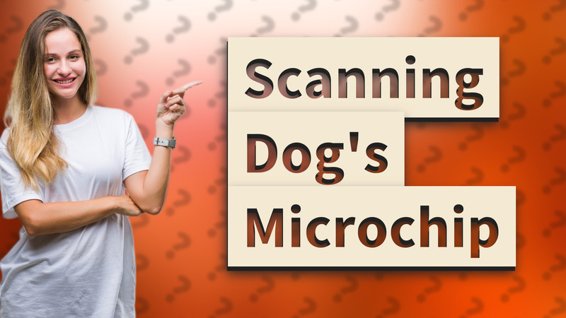 Scanning Dog's Microchip