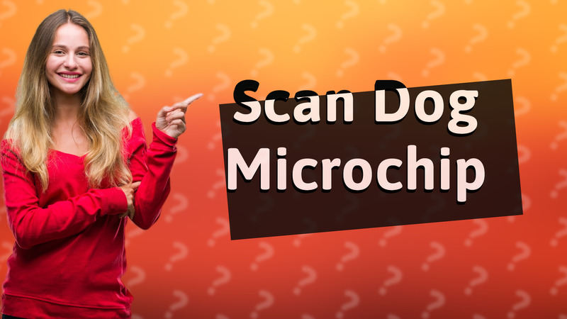 Scan Dog Microchip