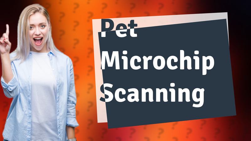 Pet Microchip Scanning