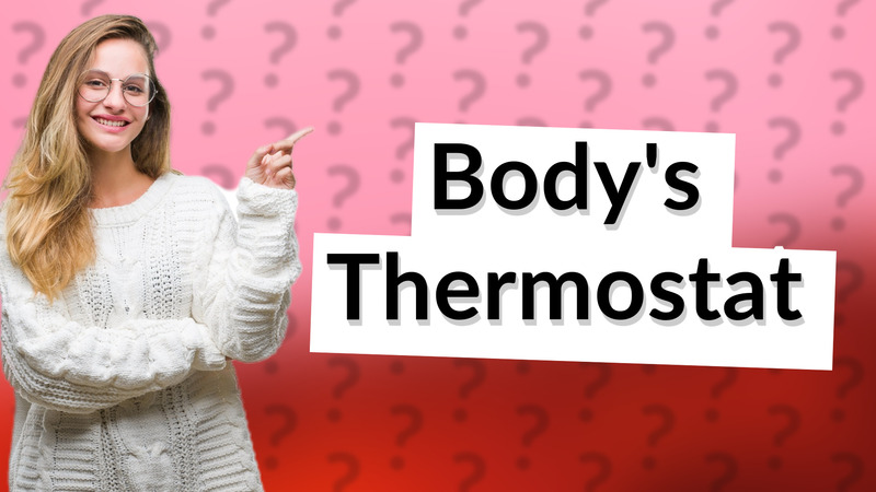 Body's Thermostat