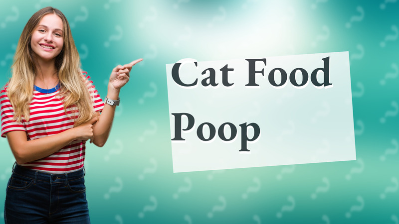 Cat Food Poop