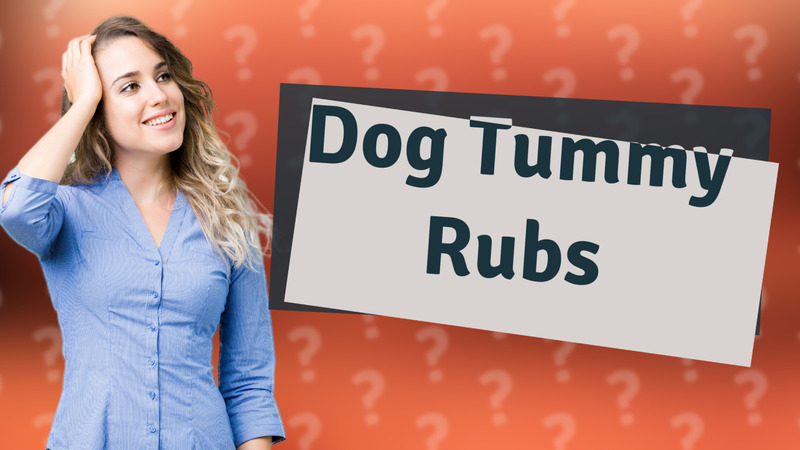 Dog Tummy Rubs