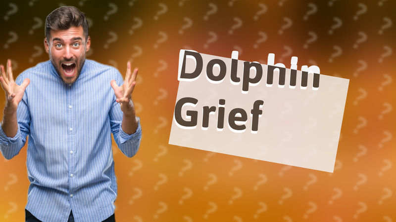 Dolphin Grief