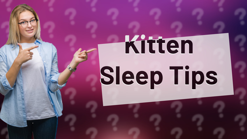 Kitten Sleep Tips