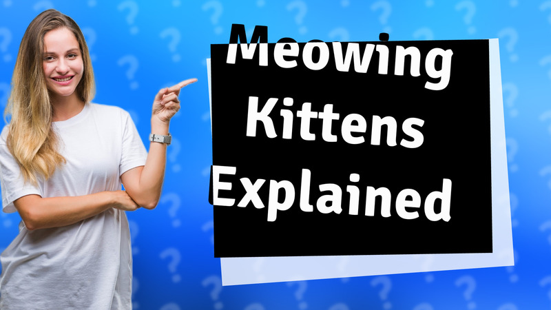 Meowing Kittens Explained